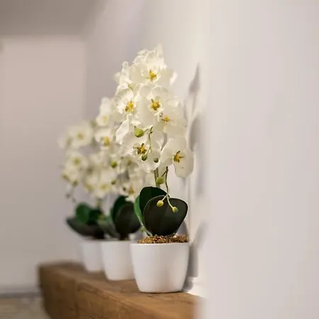 Orchideen Apartment Villach Exterior photo