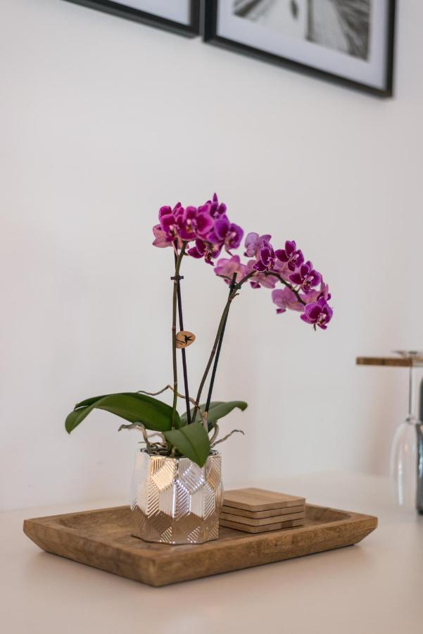 Orchideen * Villach