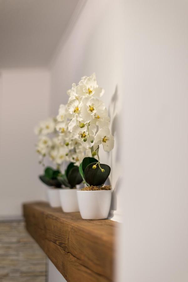 Orchideen * Villach